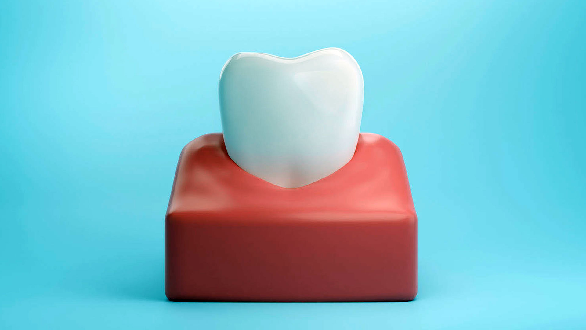 Do Gums Renew Themselves